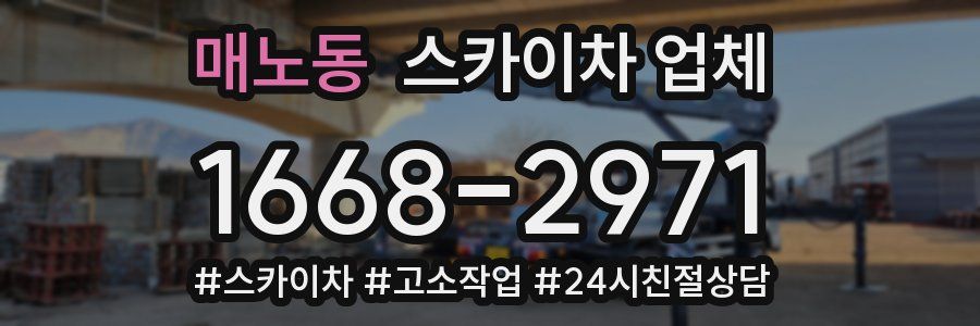 매노동 스카이차 업체