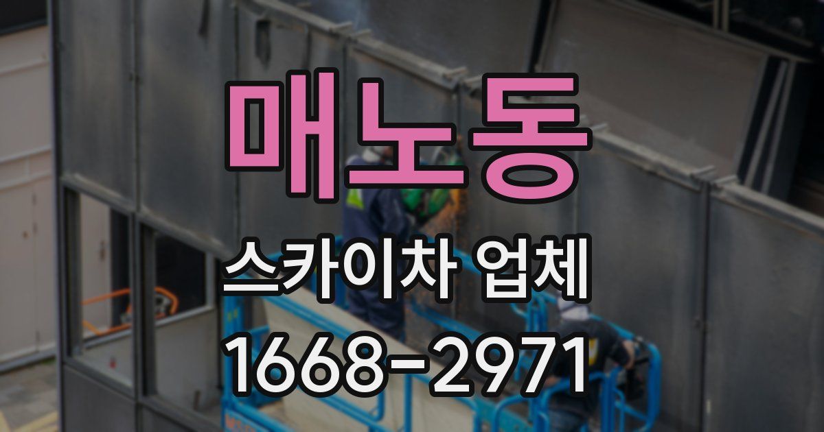 매노동 스카이차 업체