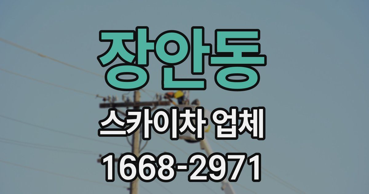 장안동 스카이차 업체