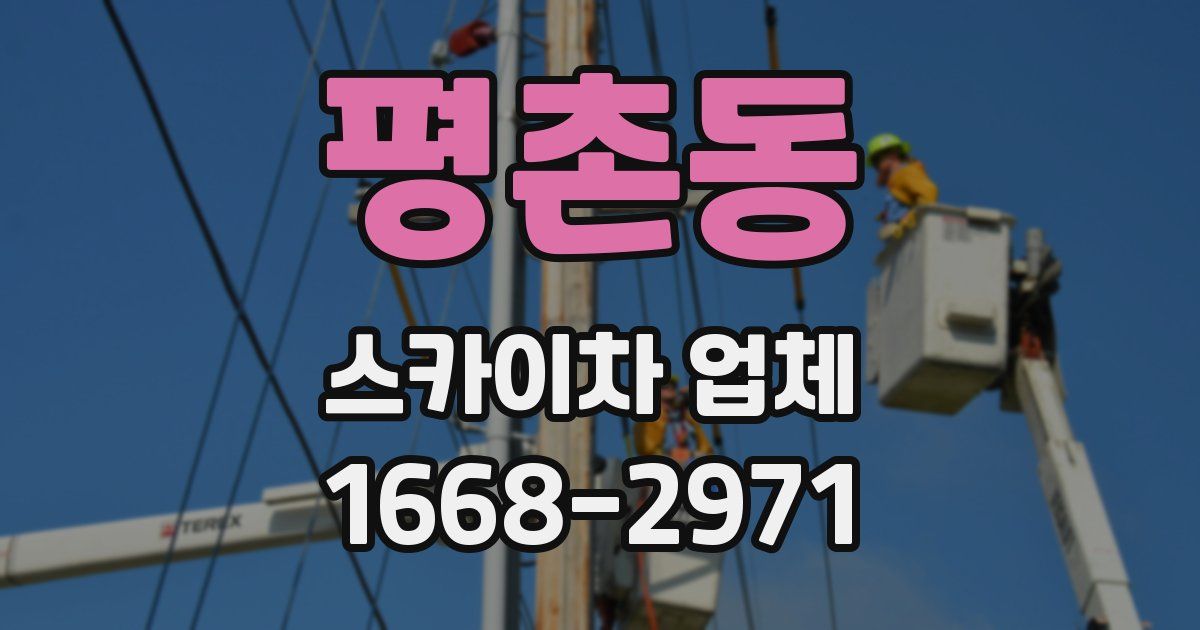 평촌동 스카이차 업체