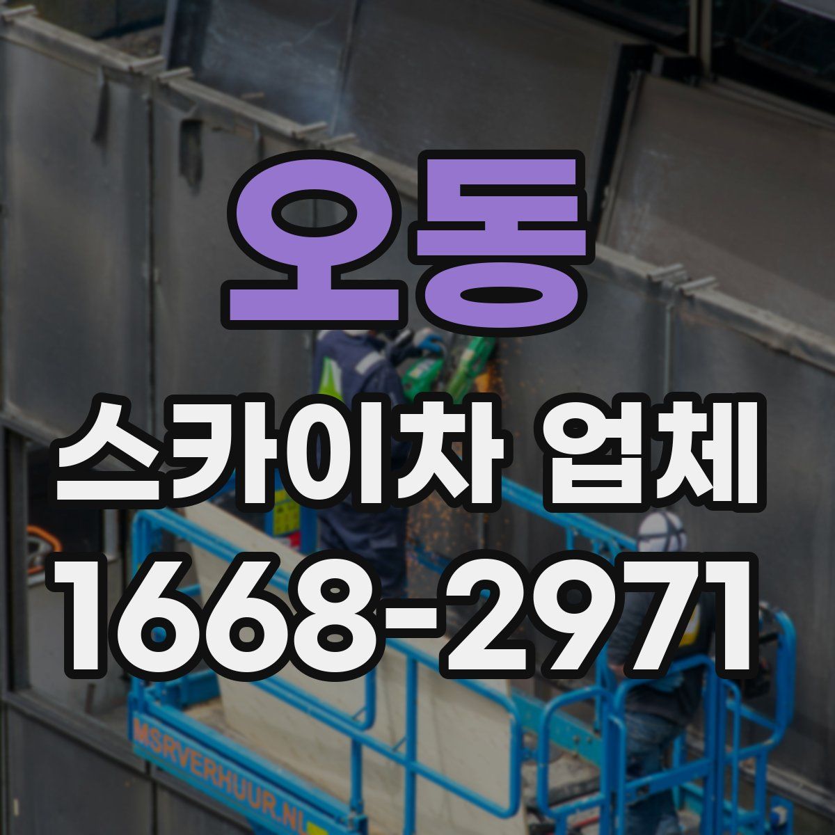 오동 스카이차 업체