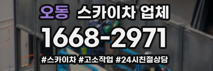 오동 스카이차 업체