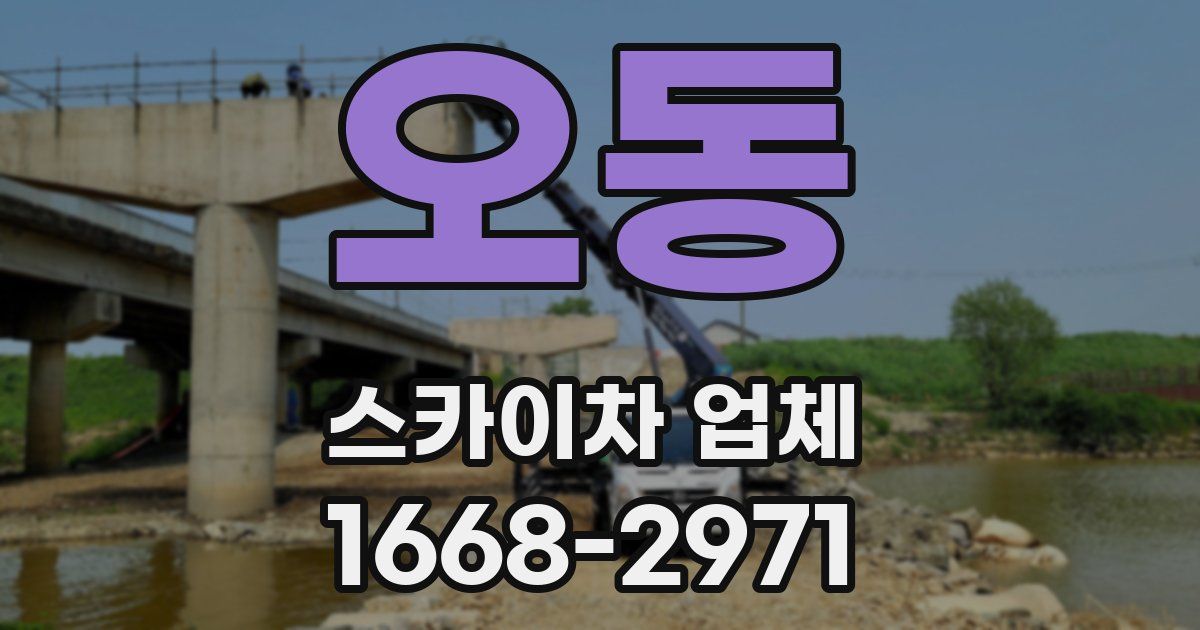 오동 스카이차 업체