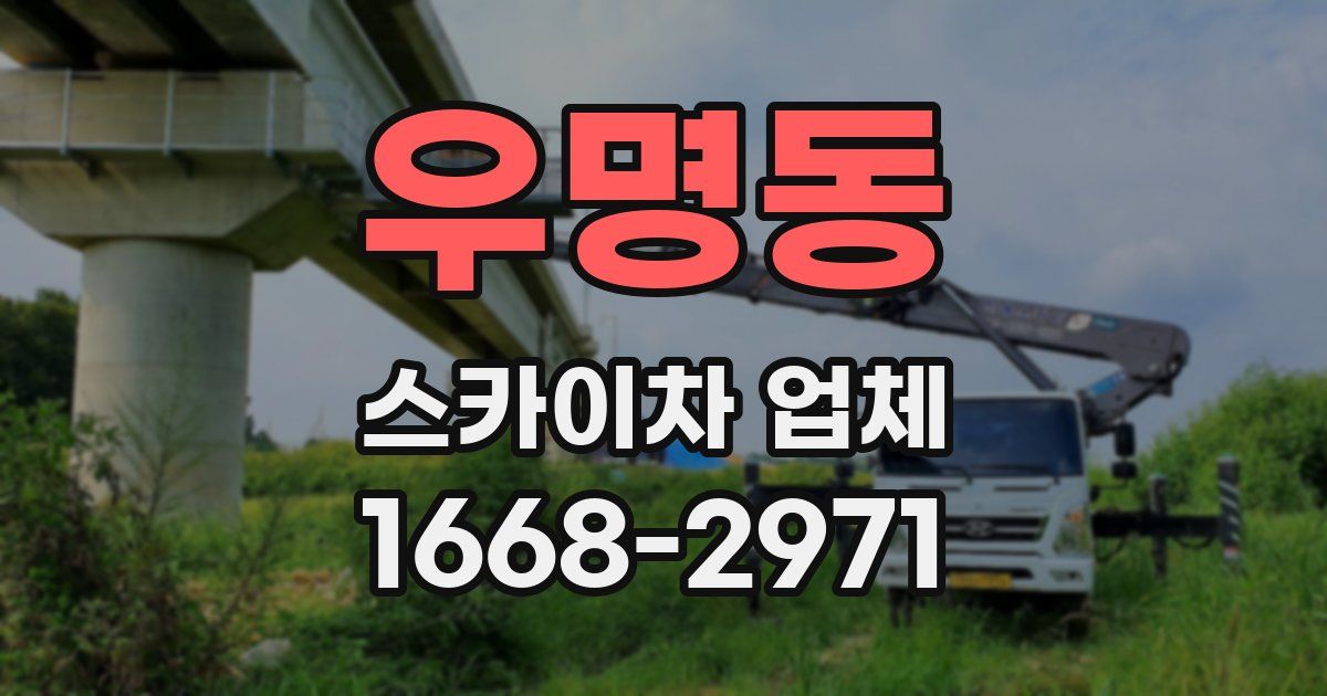 우명동 스카이차 업체