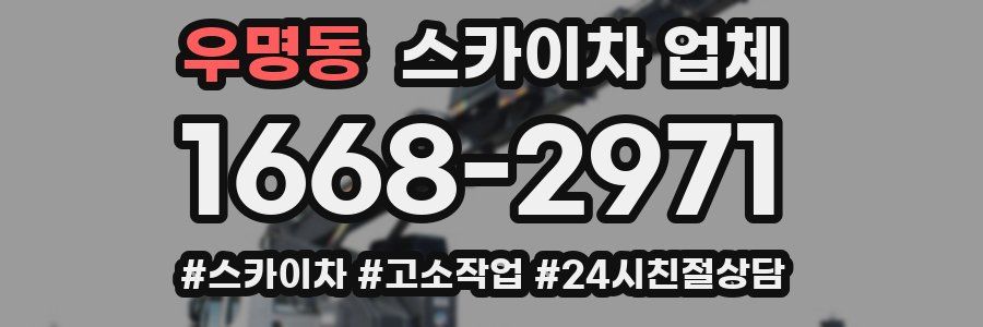 우명동 스카이차 업체