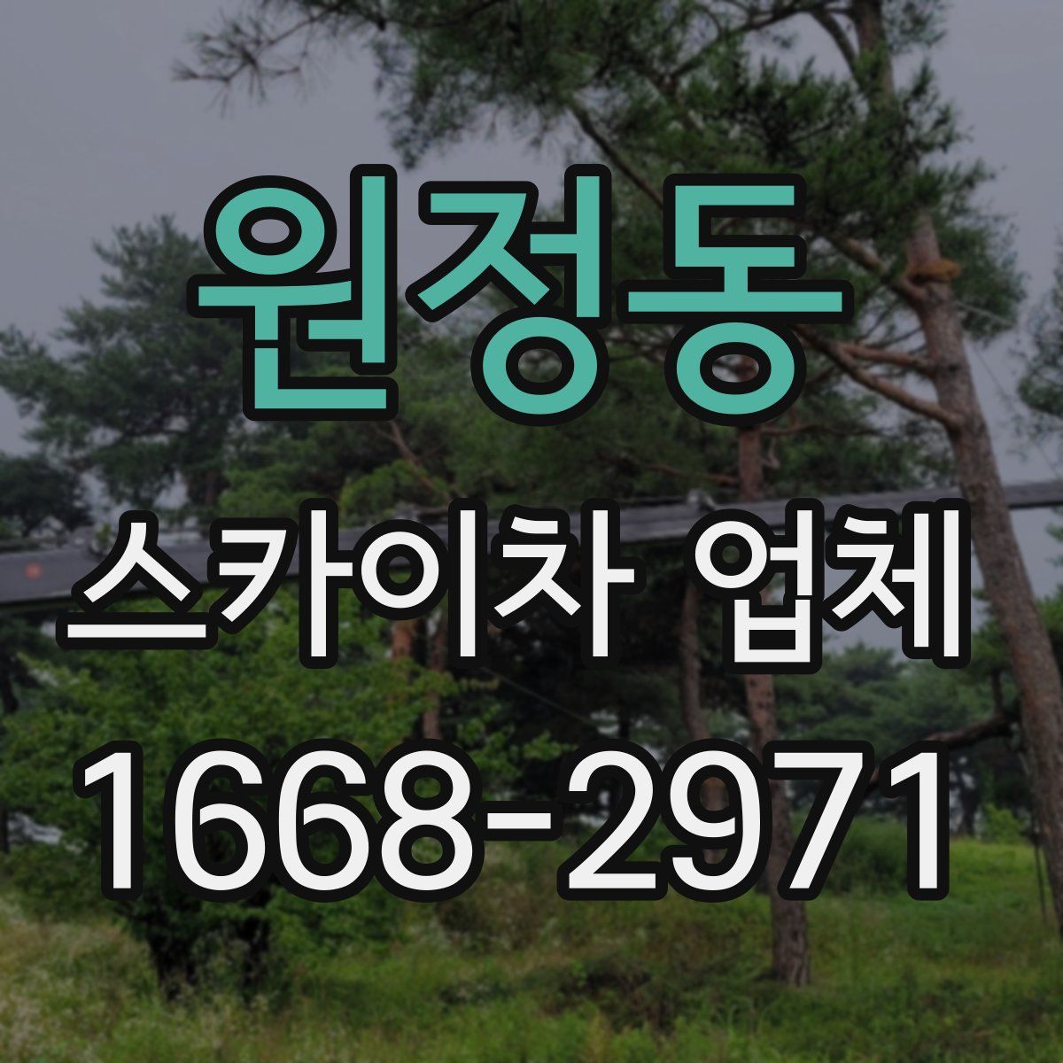 원정동 스카이차 업체