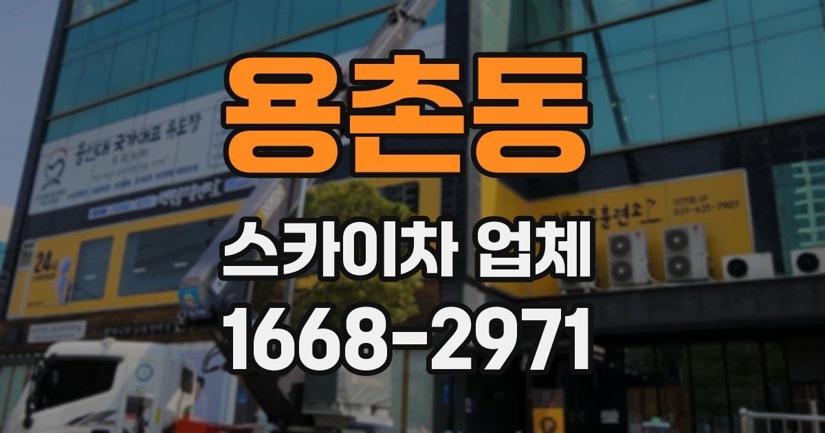 용촌동 스카이차 업체