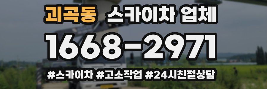 괴곡동 스카이차 업체