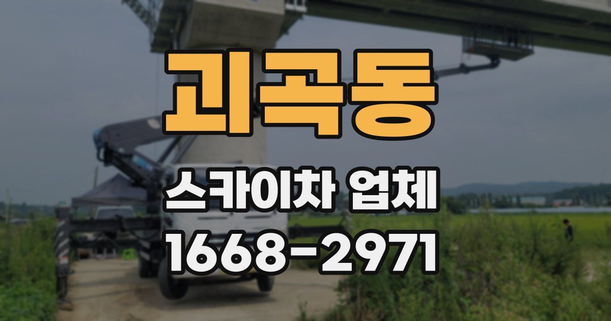 괴곡동 스카이차 업체
