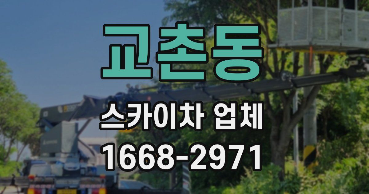 교촌동 스카이차 업체
