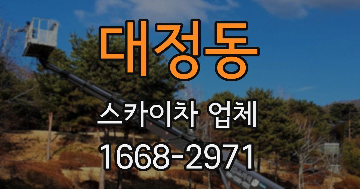 대정동 스카이차 업체