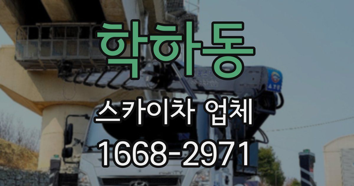 학하동 스카이차 업체