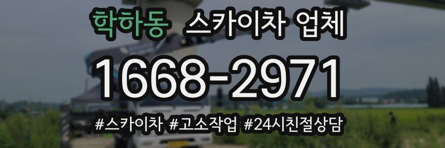 학하동 스카이차 업체