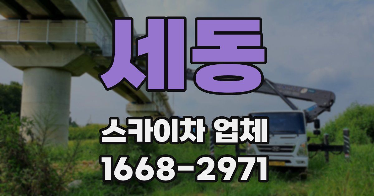 세동 스카이차 업체