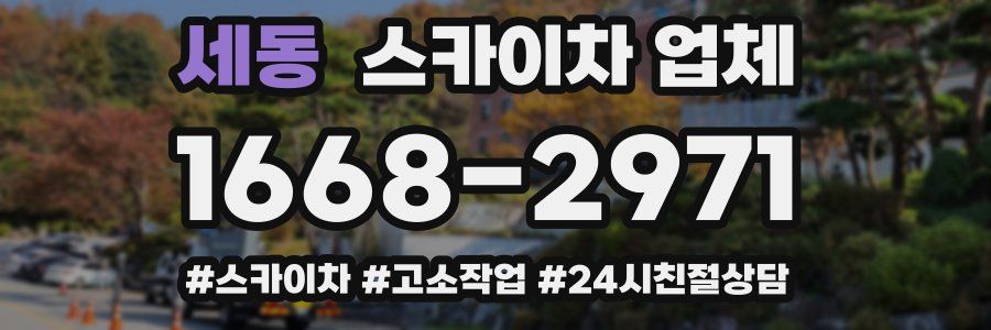 세동 스카이차 업체