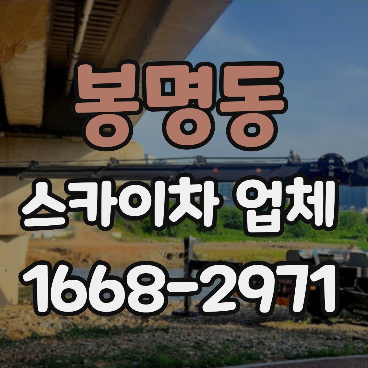 봉명동 스카이차 업체