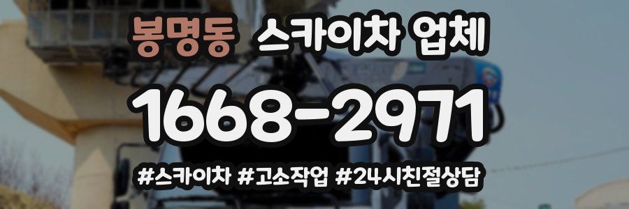 봉명동 스카이차 업체