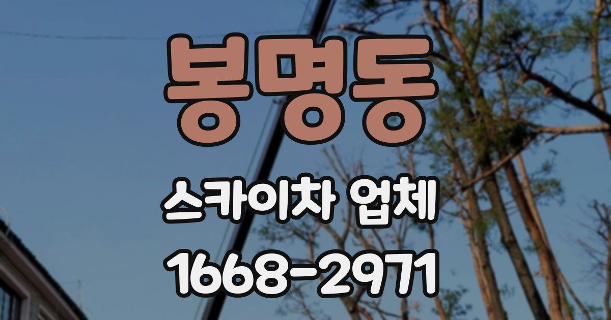 봉명동 스카이차 업체