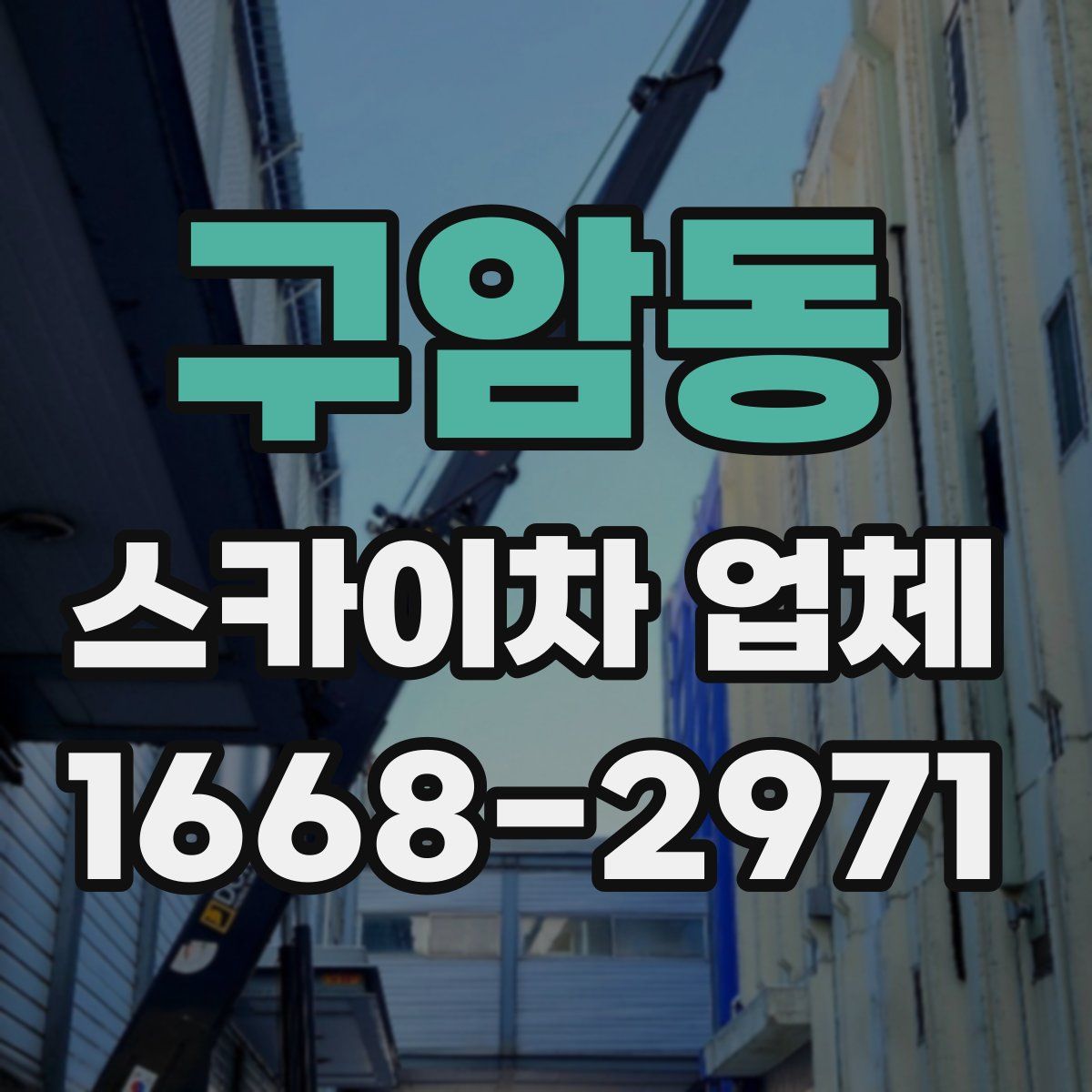 구암동 스카이차 업체
