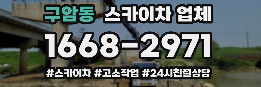 구암동 스카이차 업체