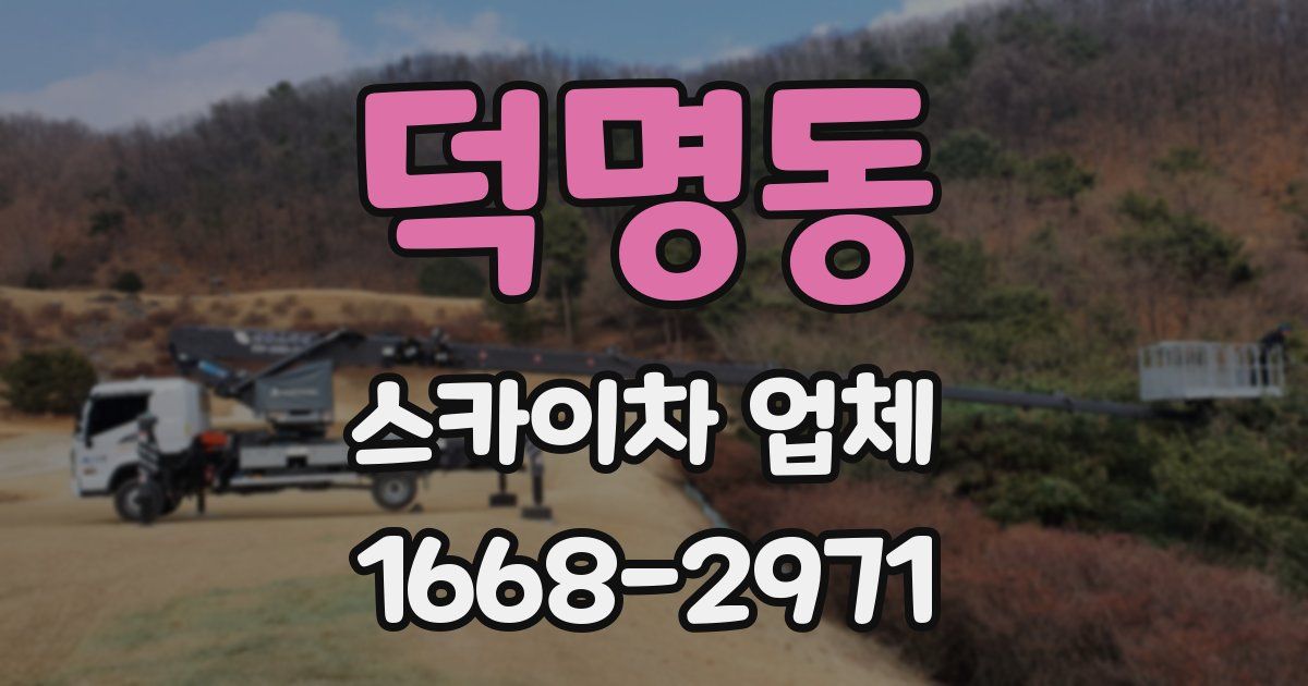 덕명동 스카이차 업체