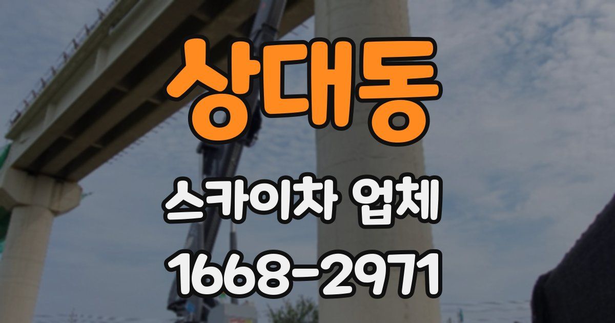 상대동 스카이차 업체