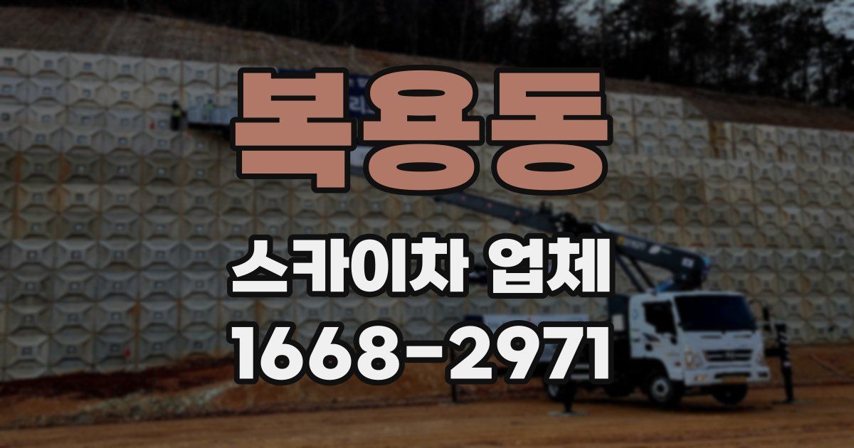 복용동 스카이차 업체