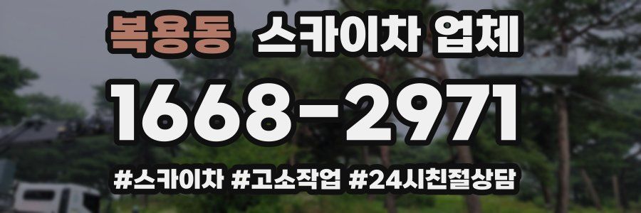 복용동 스카이차 업체