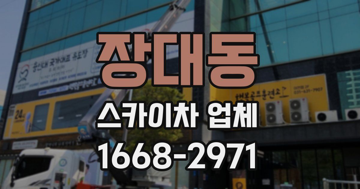 장대동 스카이차 업체