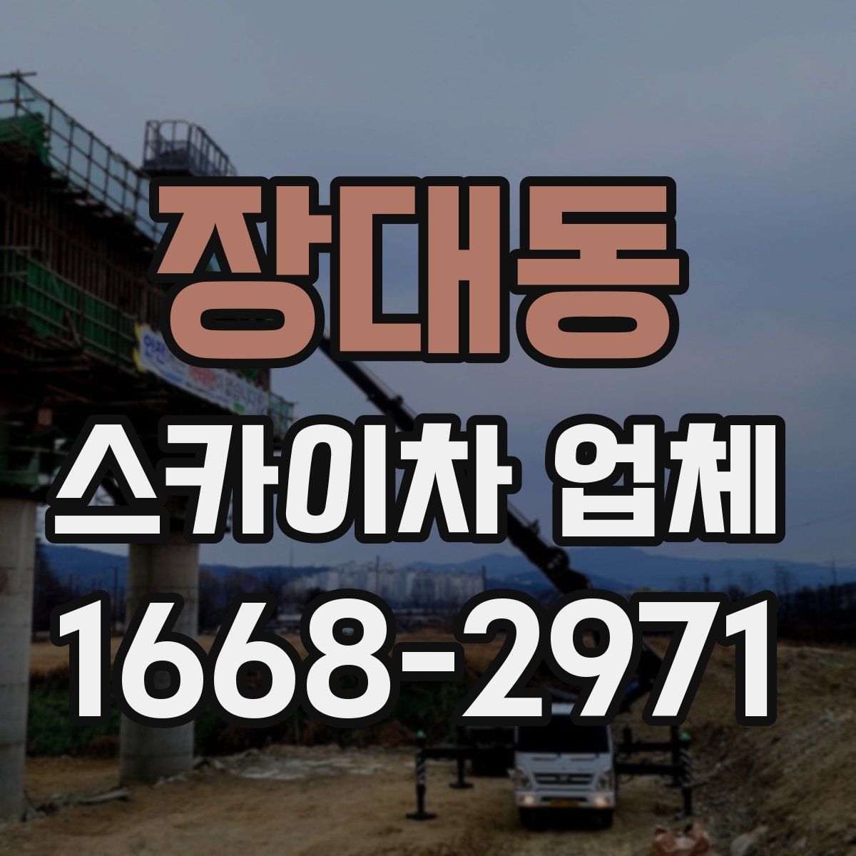 장대동 스카이차 업체