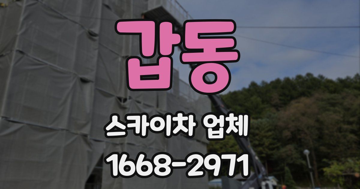 갑동 스카이차 업체