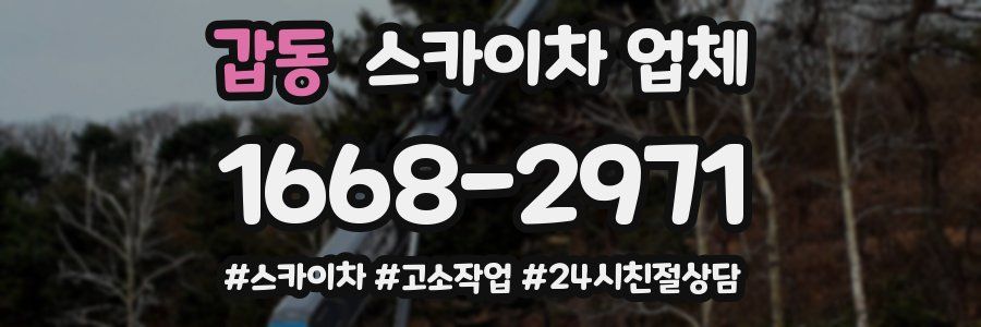 갑동 스카이차 업체