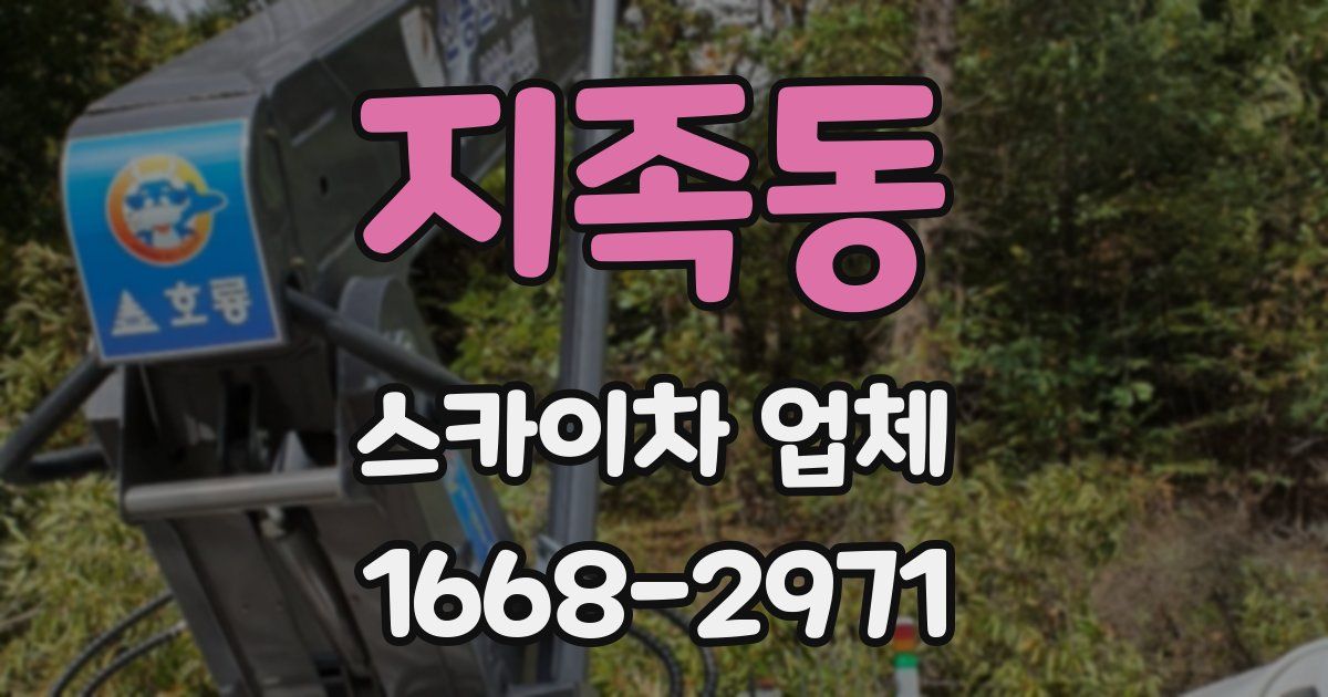 지족동 스카이차 업체