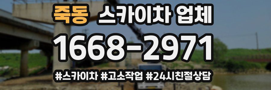 죽동 스카이차 업체