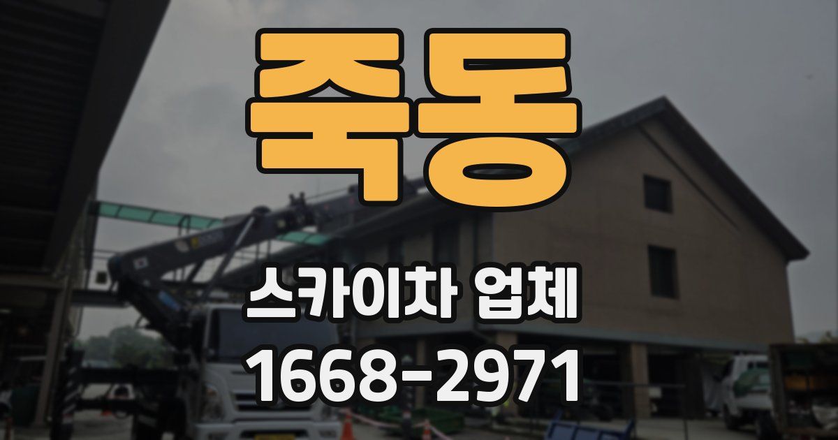 죽동 스카이차 업체