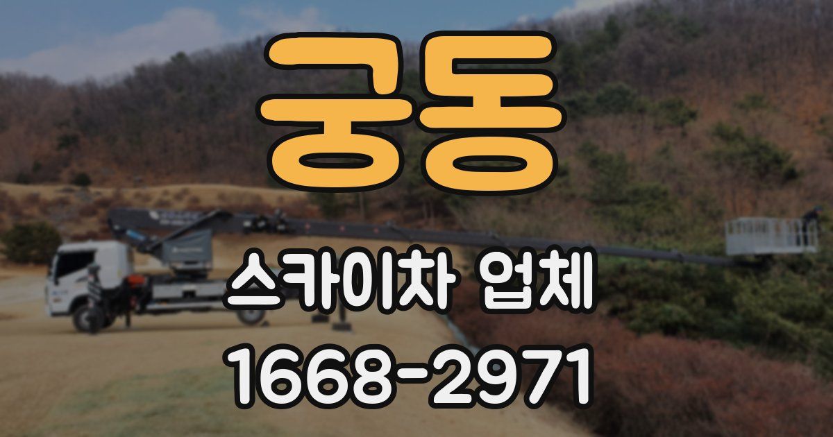 궁동 스카이차 업체