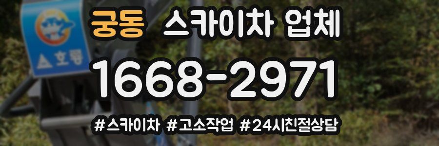 궁동 스카이차 업체
