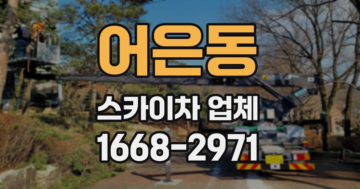 어은동 스카이차 업체
