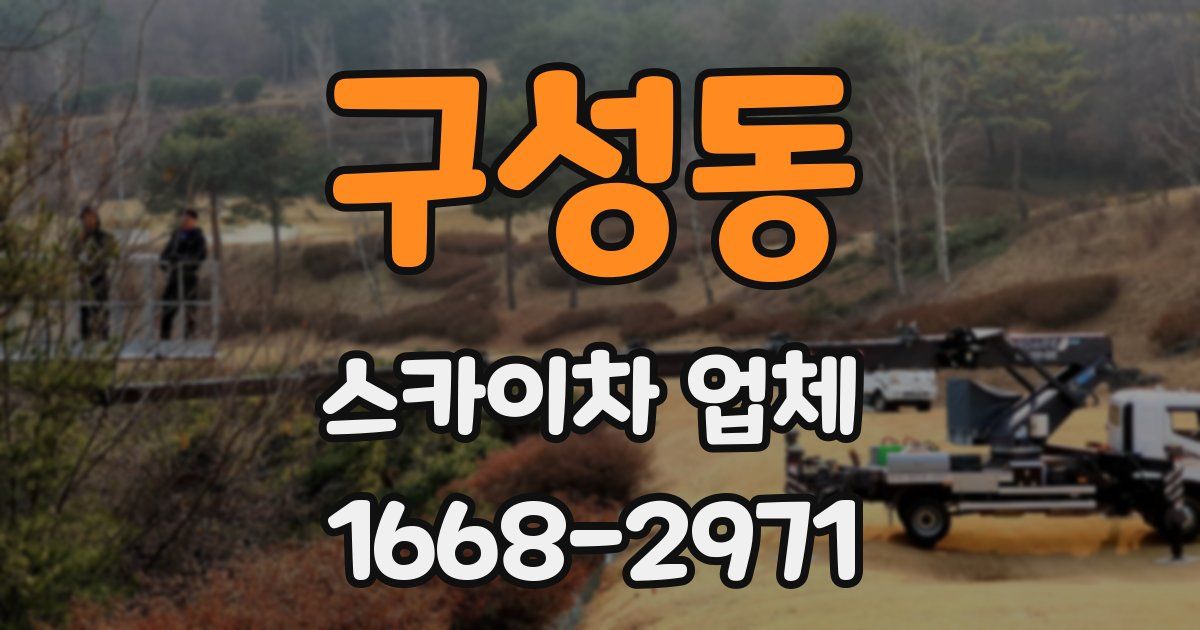 구성동 스카이차 업체