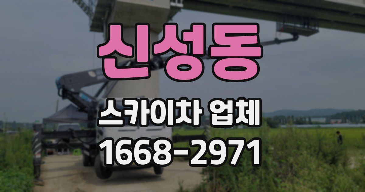 신성동 스카이차 업체