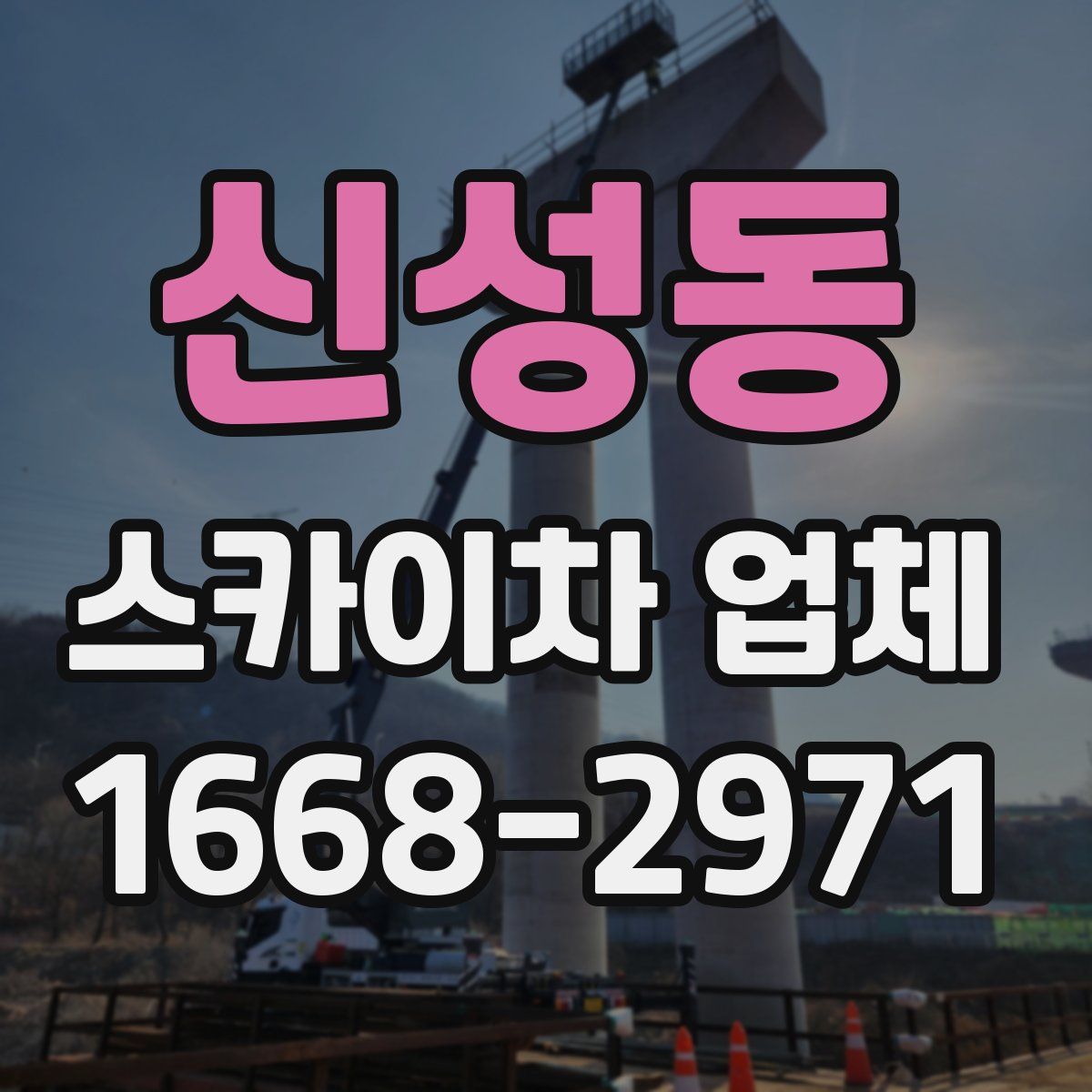 신성동 스카이차 업체