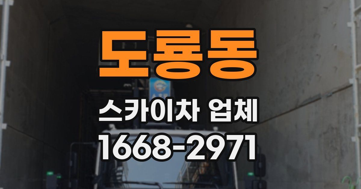 도룡동 스카이차 업체