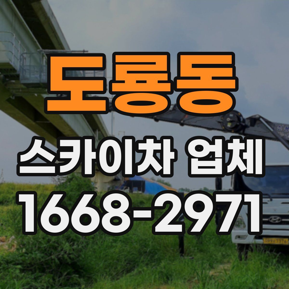 도룡동 스카이차 업체