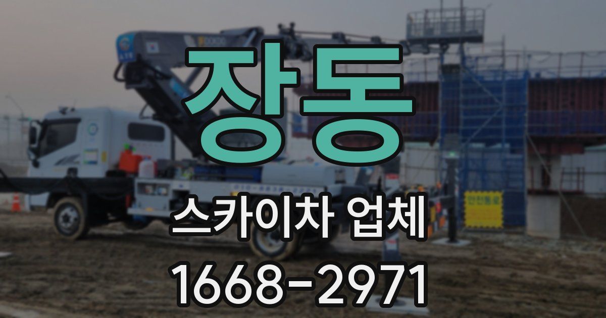 장동 스카이차 업체