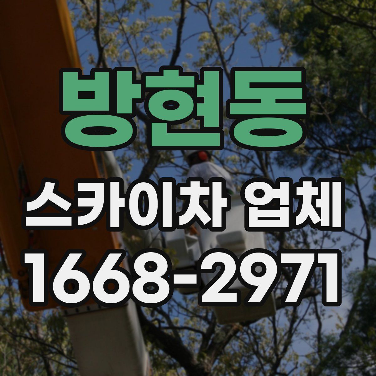 방현동 스카이차 업체