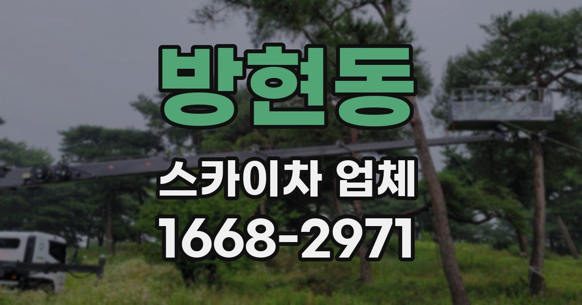 방현동 스카이차 업체