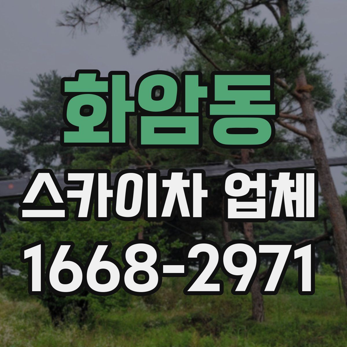 화암동 스카이차 업체