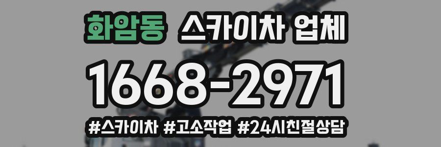 화암동 스카이차 업체