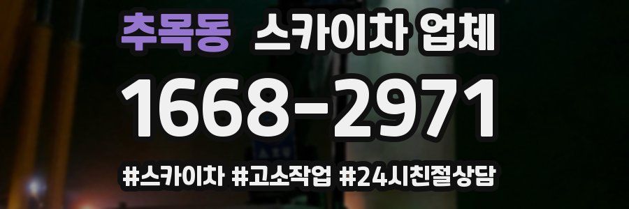 추목동 스카이차 업체