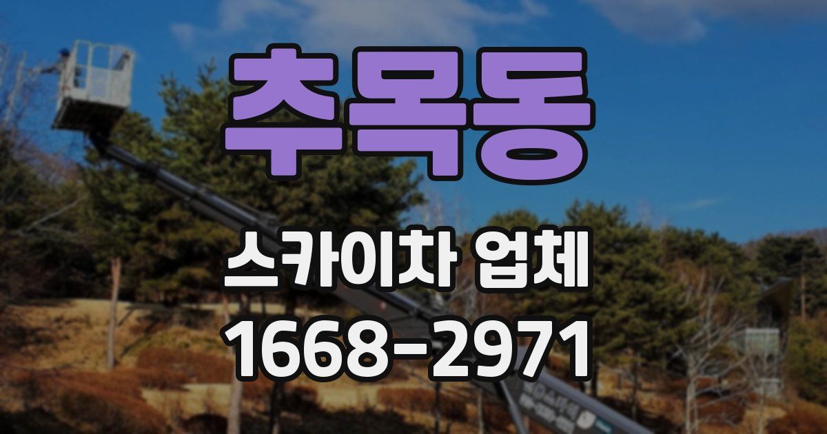추목동 스카이차 업체